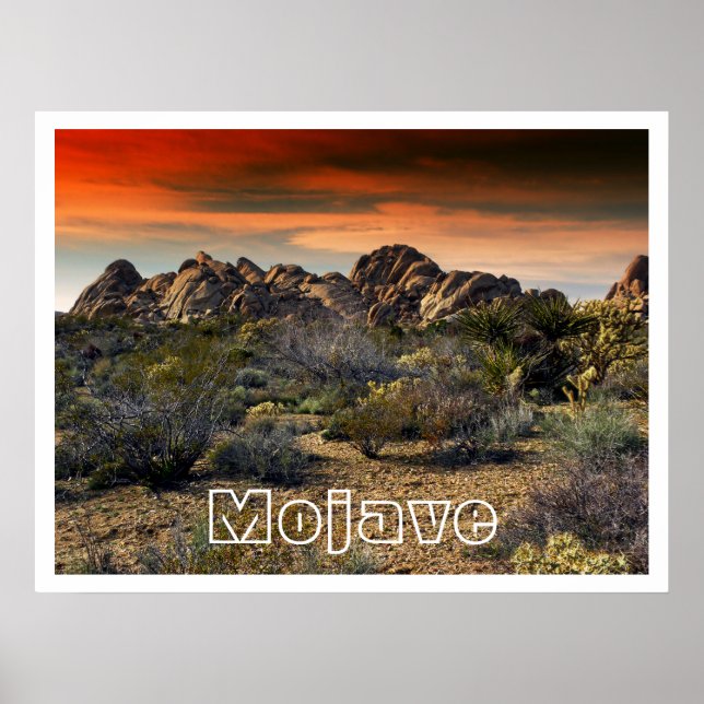 Mojave Desert at Sunset Poster (Front)