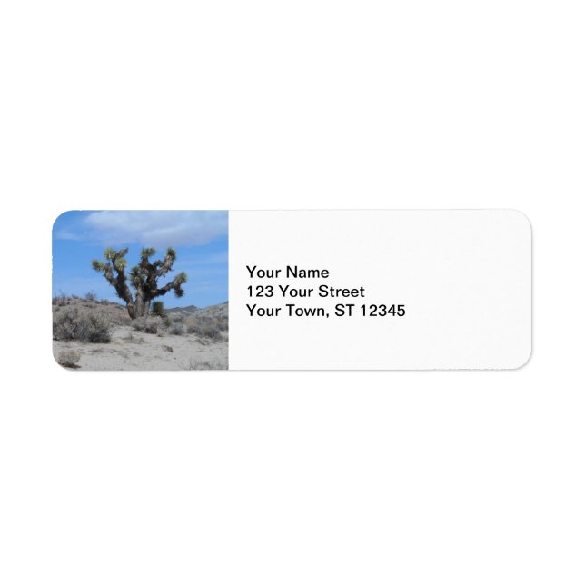 Mojave Desert Joshua Tree (Front)