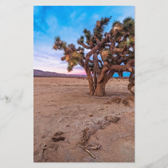 Mojave Joshua Tree (Front)