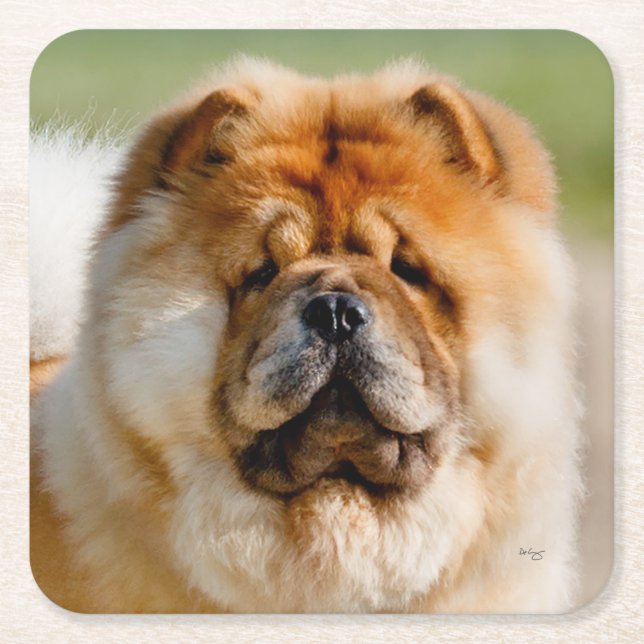 Mojo Chow Coaster (Front)