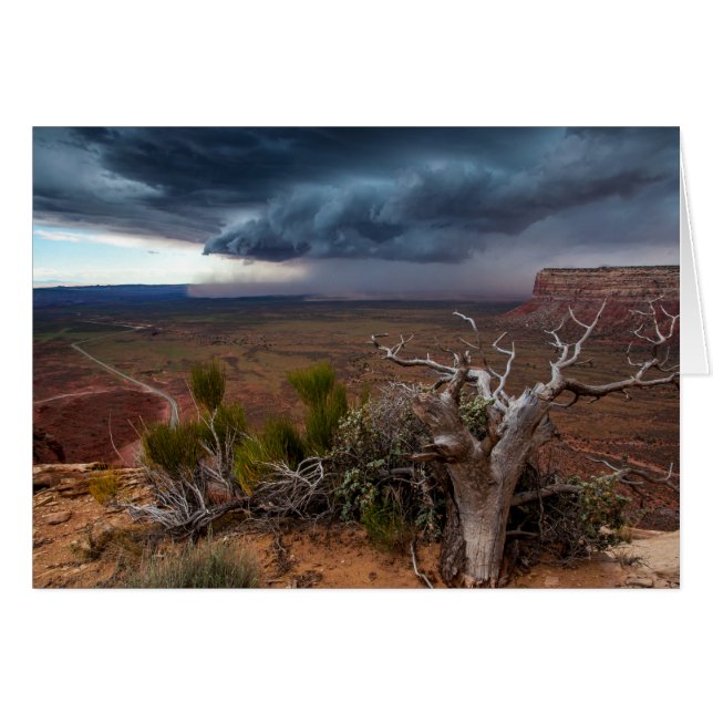 Moki Dugway Thunderstorm - Utah Sud (Devant horizontal)