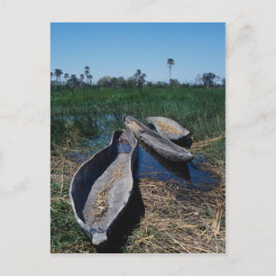 Mokoro's Okavango Delta, Botswana Postcard