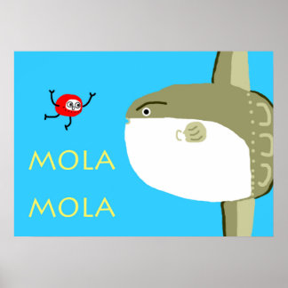 MOLA MOLA POSTER