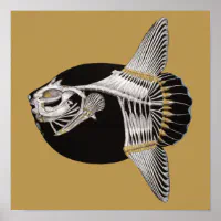 Mola Rotunda Sunfish Fish Skeleton Art Print