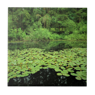 Molalla River State Park, Canby, Oregon Tile