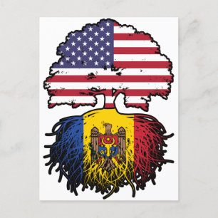 Moldava Moldavan American USA United States Flag Postcard