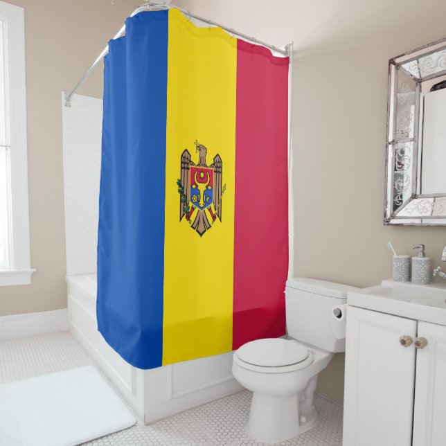 Moldavia flag (In Situ)