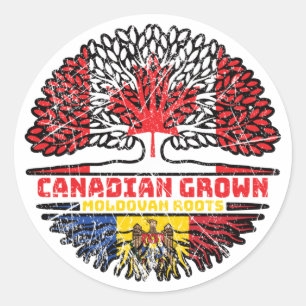 Moldova Moldovan Canadian Canada Tree Roots Flag Classic Round Sticker