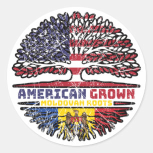 Moldova Moldovan US American USA United States Classic Round Sticker