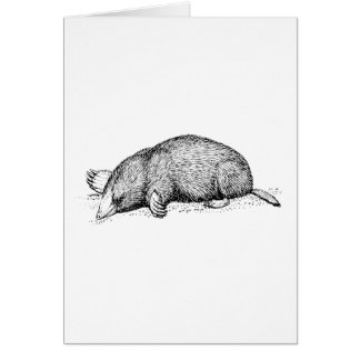 Mole