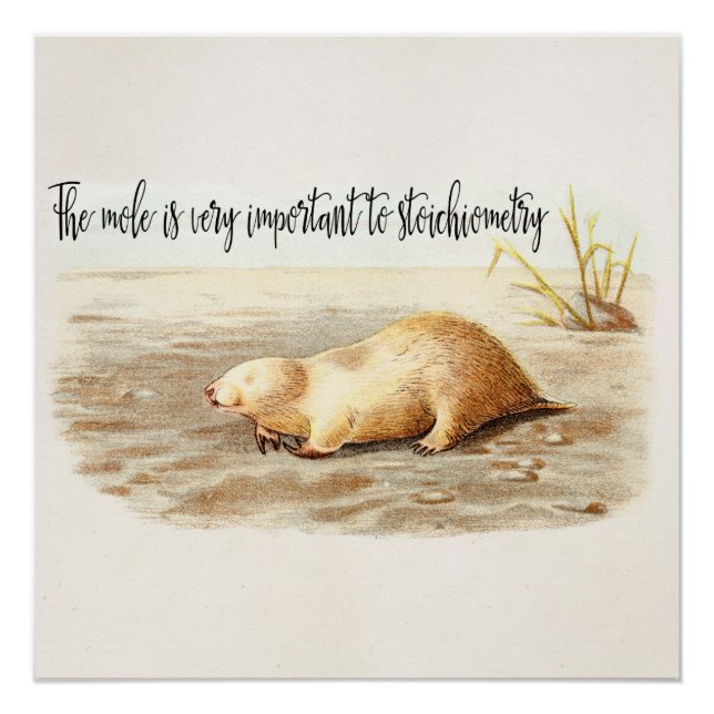 Mole Stoichiometry Chemistry Quote Science Humour Poster (Front)