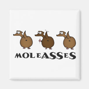 Moleasses Magnet