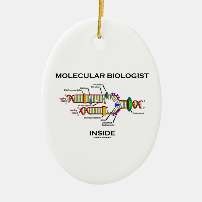 Molecular Biologist Inside (DNA Replication) Ceramic Ornament (Front)