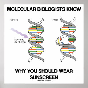 Molecular Biologists Know Why You Wear Sunscreen Poster
