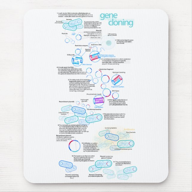 Molecular cloning using bacteria and plasmids mouse pad (Front)