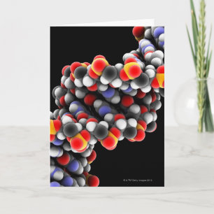 Molécule d'ADN. Modèle moléculaire de l'ADN