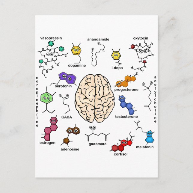 Molecules Galore! Postcard (Front)