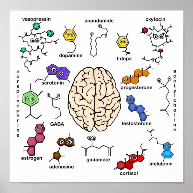 Molecules Galore ! Poster (Devant)