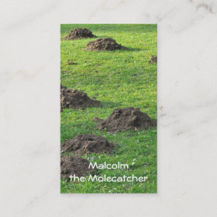 Molehills in a lawn business card