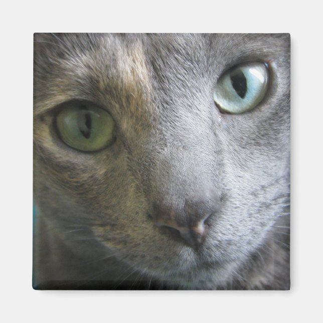 Mollie Magnet (Front)