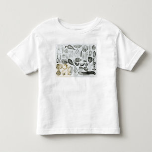 Molluscs Toddler T-shirt