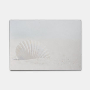 Mollusk Seashell Post-it Notes