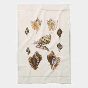 Mollusks and Snails, Vintage Marine Life Organisms Kitchen Towel