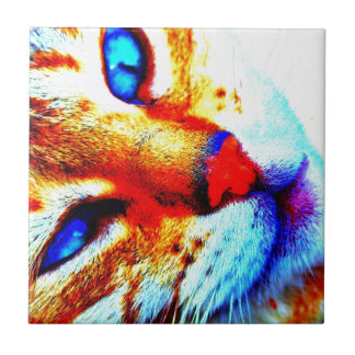 Molly cat tile