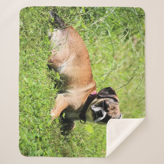 Molly  sherpa blanket (Front)