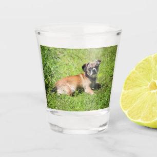Molly Shot Glass