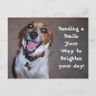 Molly Smiles! Postcard