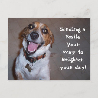 Molly Smiles! Postcard