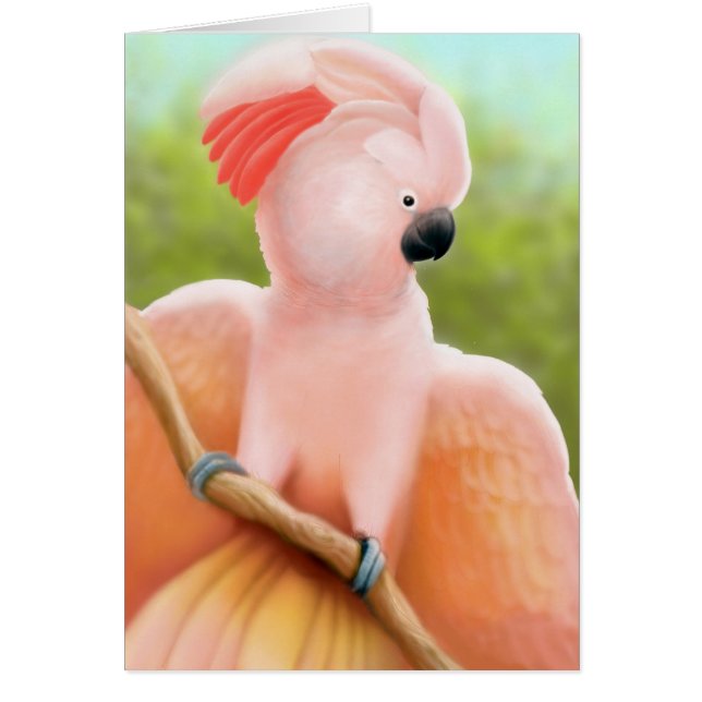 Moluccan Cockatoo Card (Front)