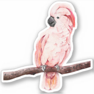 Moluccan Cockatoo Custom-Cut Vinyl Sticker 