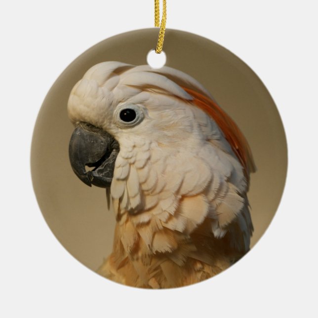 Moluccan Cockatoo Ornament (Front)