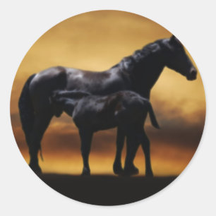 Mom and Baby colt Classic Round Sticker