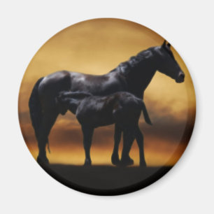 Mom and Baby colt Magnet