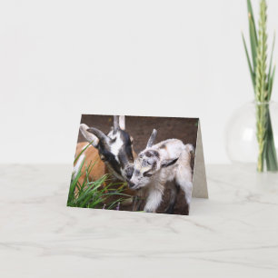 Mom and Baby Goat Card