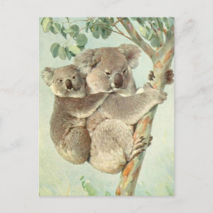 Mom and Baby Koala Vintage Postcard