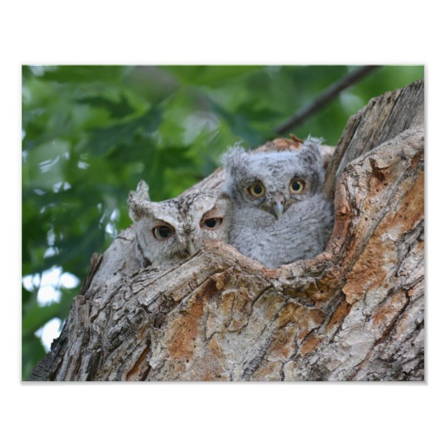 Mom and Baby Photo Print (Front)