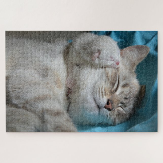 mom and kitten puzzle (Horizontal)