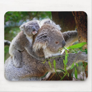Mom and son Koala Mouse Pad