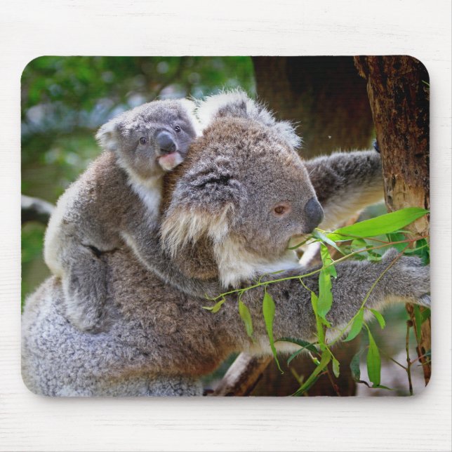 Mom and son Koala Mouse Pad (Front)