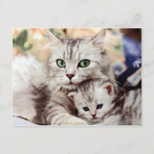 Mom and Son Postcard