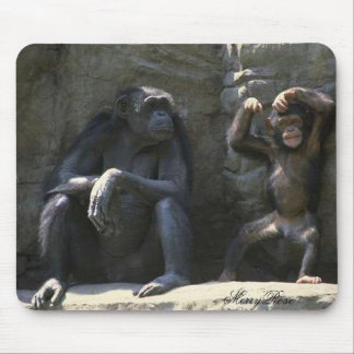 Mom & Baby Monkey Mouse Pad
