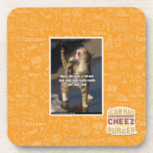 Mom! Coaster