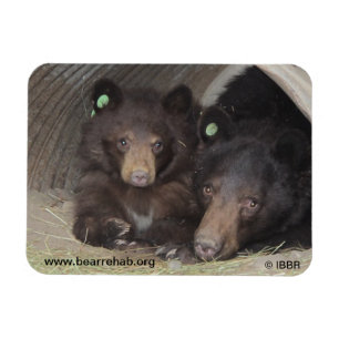 Mom & cub 2013 Premium Flexi Magnet