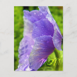 Mom Flower Postcard