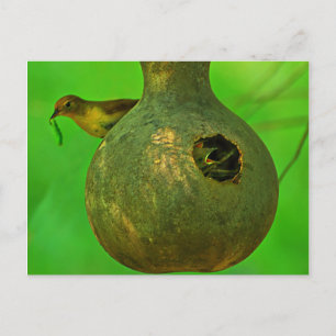 mom I know you are here Postcard