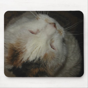 Mom, I'm sleeping!! cat mousepad